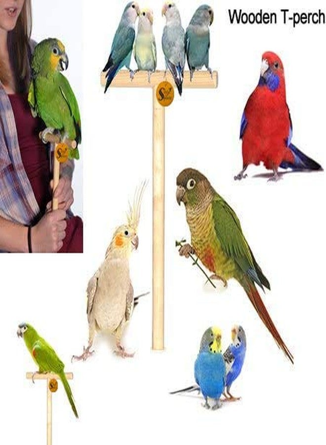 سايج سكوير حامل Sage Square اليدوي الآمن للتعامل مع الطيور وتدريبها، مصنوع من الخشب الطبيعي، وهو مناسب للطيور مثل الكوكاتيل، والببغاء، وببغاء الشمس، والمكاو، والببغاء الرمادي الأفريقي، والكوكاتو. - Image 2